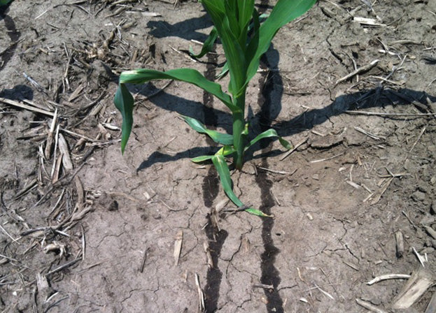 drop zone herbicide Y-Drop – FennigEquipment