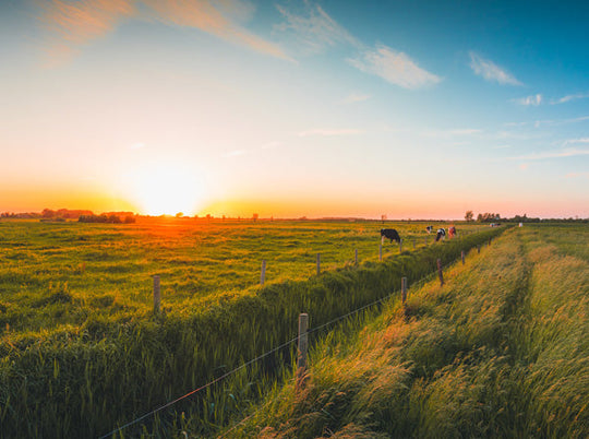 2025 Farm Science Review