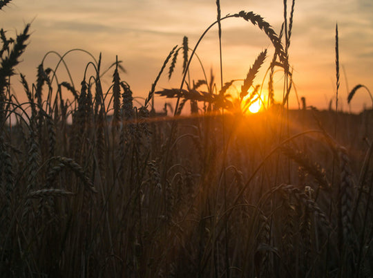 Indiana Farm Equipment and Technology Expo