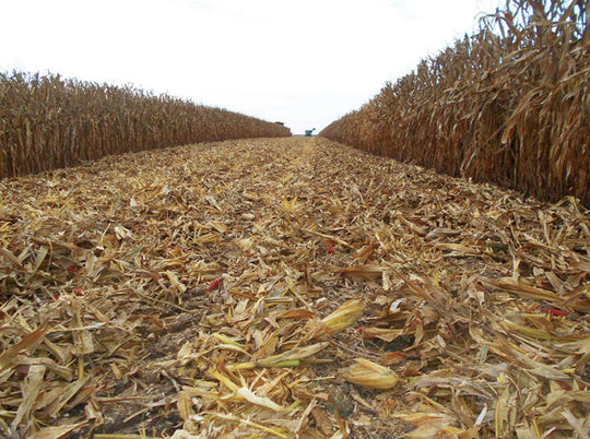 Calmer Stalk Rolls vs Yetter Devastator