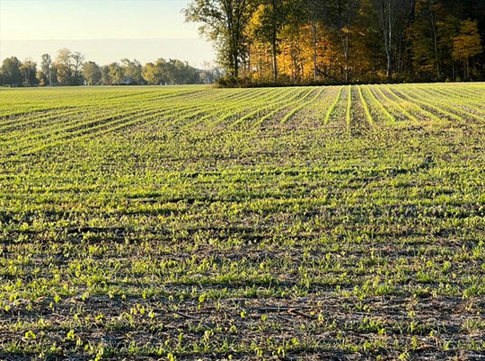 Sunshine Offers Great Window To Finish Harvest