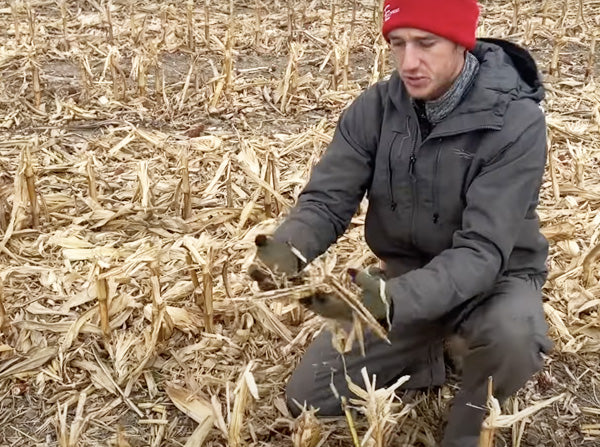 Yetter Devastators vs Calmer Stalk Rolls – FennigEquipment