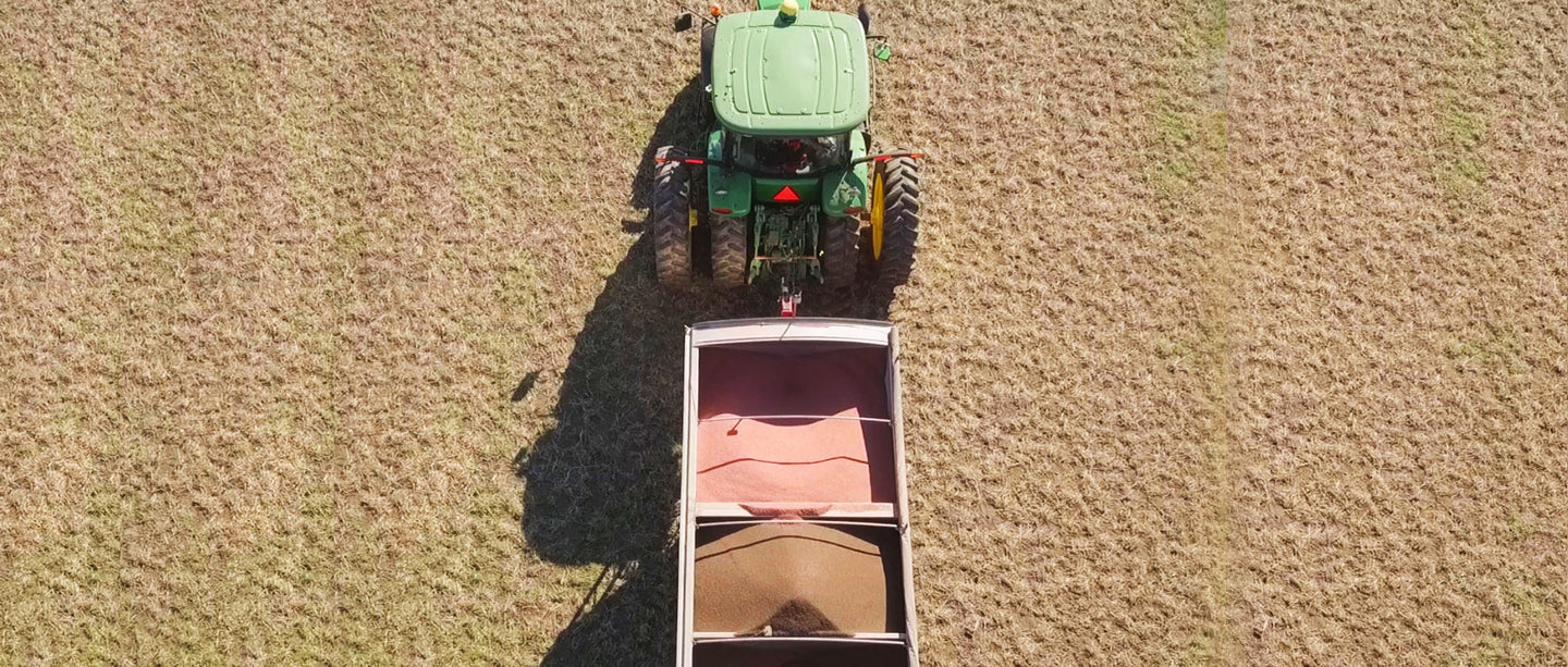 Fertilizer Placement