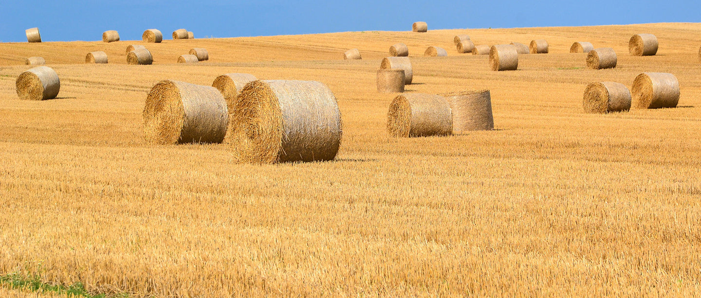 Hay Equipment
